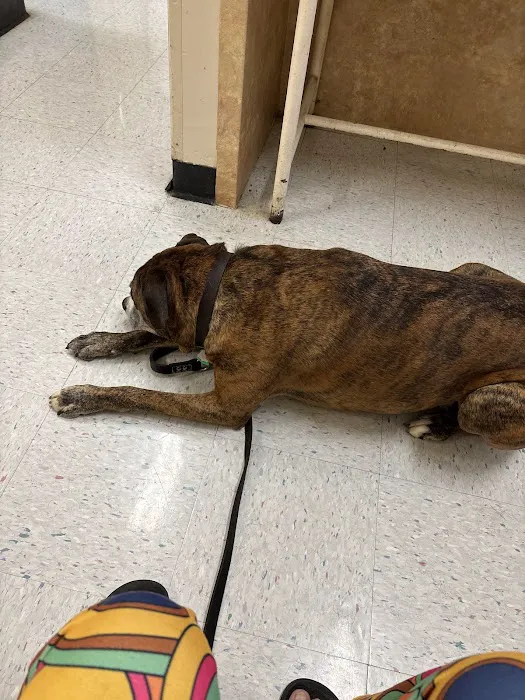 Broadway Veterinary Clinic Picture 8