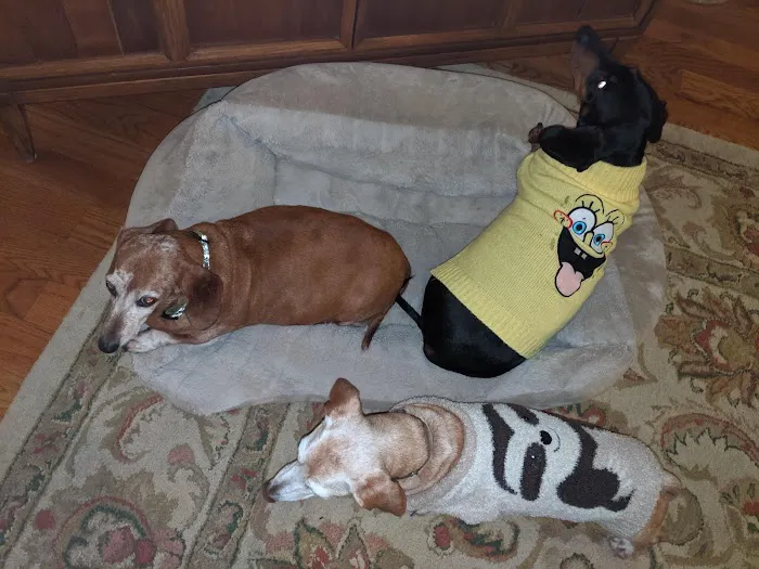 Broadway Veterinary Clinic Picture 9