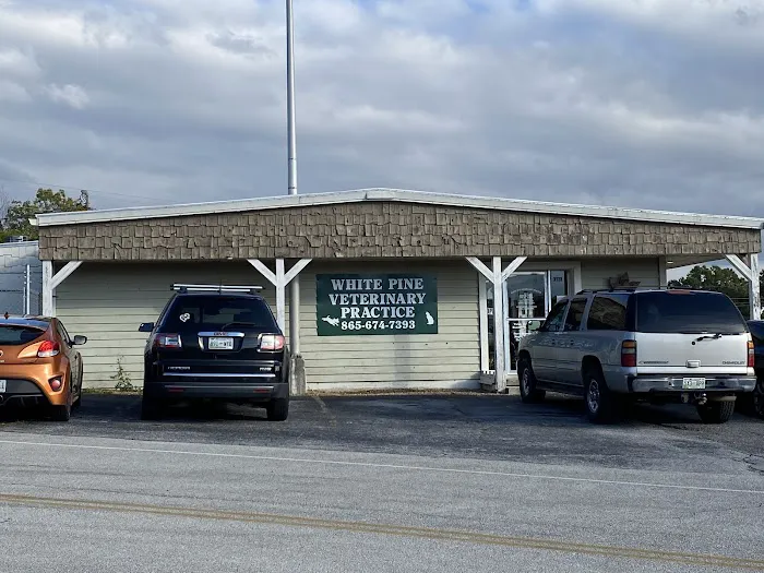 White Pine Veterinary Practice Picture 4