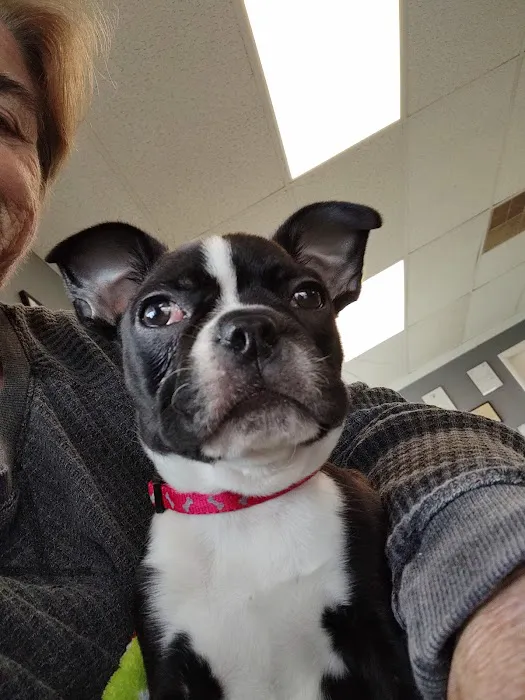 White Pine Veterinary Practice Picture 6