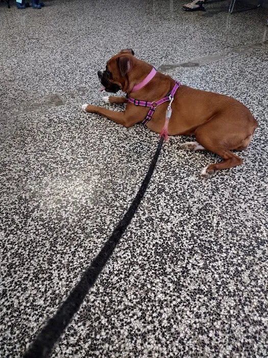 Magnolia Animal Clinic Picture 3