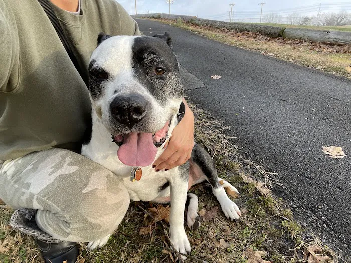 Magnolia Animal Clinic Picture 7