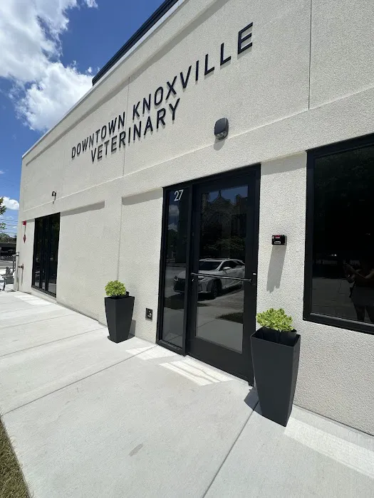 Downtown Knoxville Veterinary Picture 3