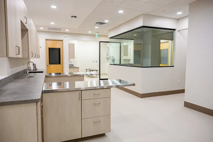 Downtown Knoxville Veterinary Picture 7