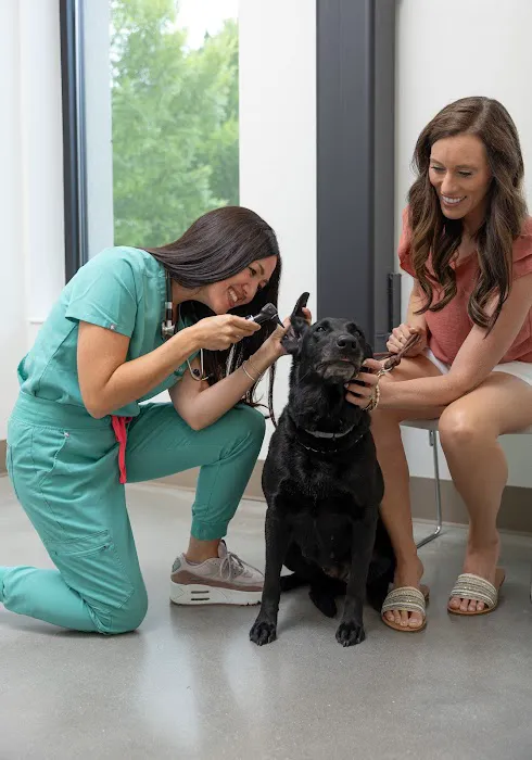 Downtown Knoxville Veterinary Picture 8
