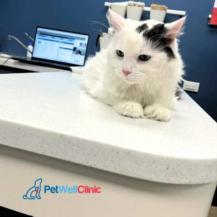 PetWellClinic - Randolph Street Picture 10