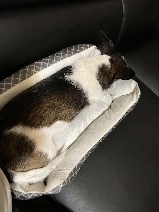 Powell Valley Animal Hospital Picture 1