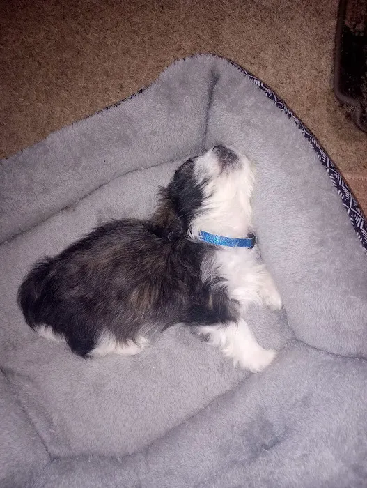 Powell Valley Animal Hospital Picture 9