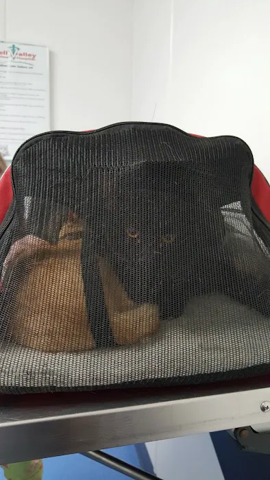 Powell Valley Animal Hospital Picture 10