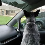 Tri County Veterinary Clinic