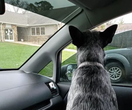 Tri County Veterinary Clinic