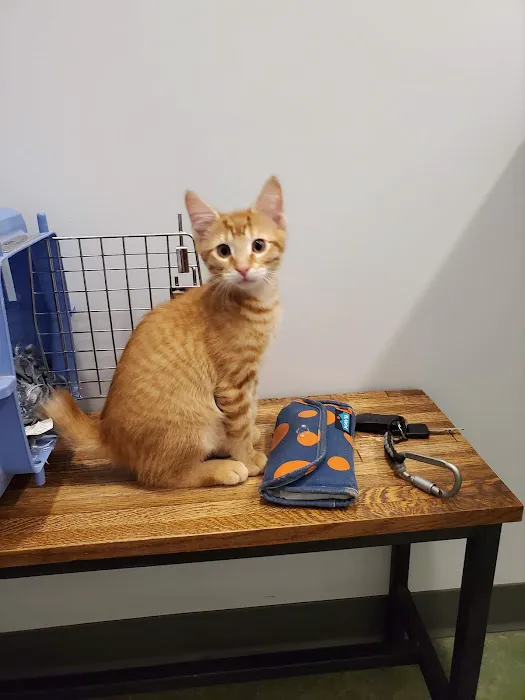 Riverside Veterinary Clinic Picture 8