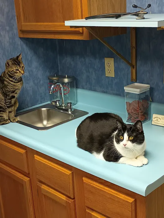 Scruffy City Animal Hospital Picture 1