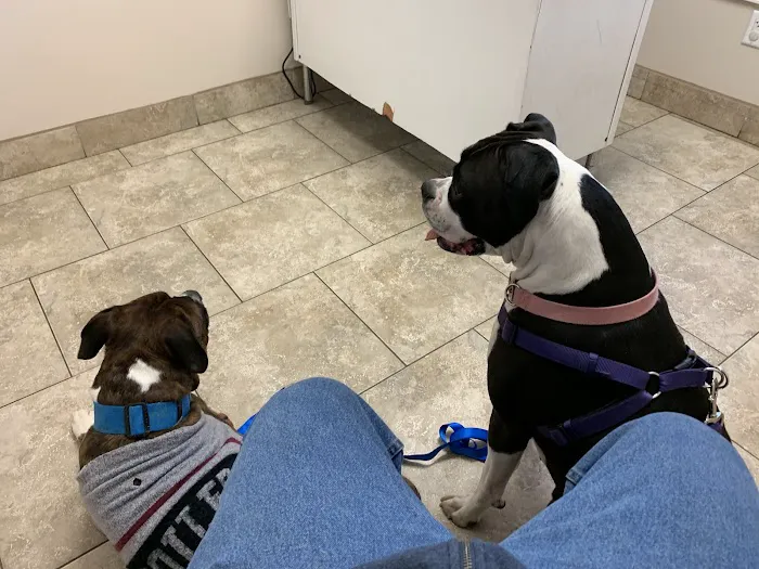 Butler Animal Clinic Picture 5