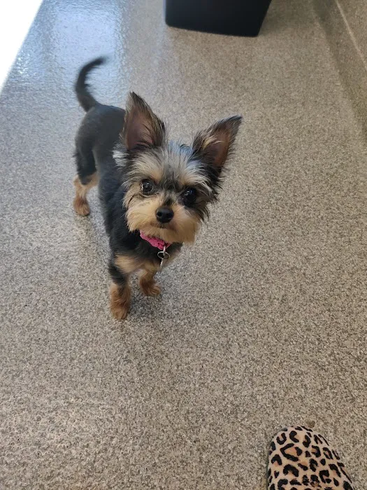 Karns Animal Clinic Picture 6