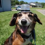 Tri-County Small Animal Hospital