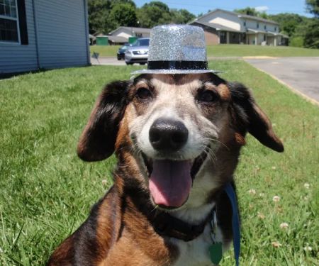 Tri-County Small Animal Hospital