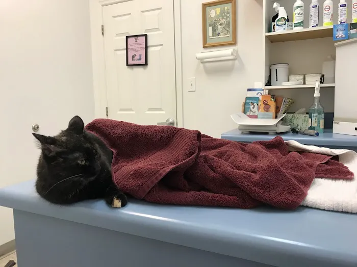 Tri-County Small Animal Hospital Picture 3