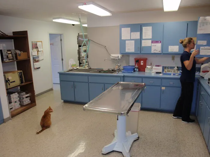 Tri-County Small Animal Hospital Picture 7