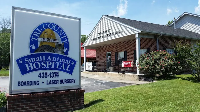 Tri-County Small Animal Hospital Picture 8