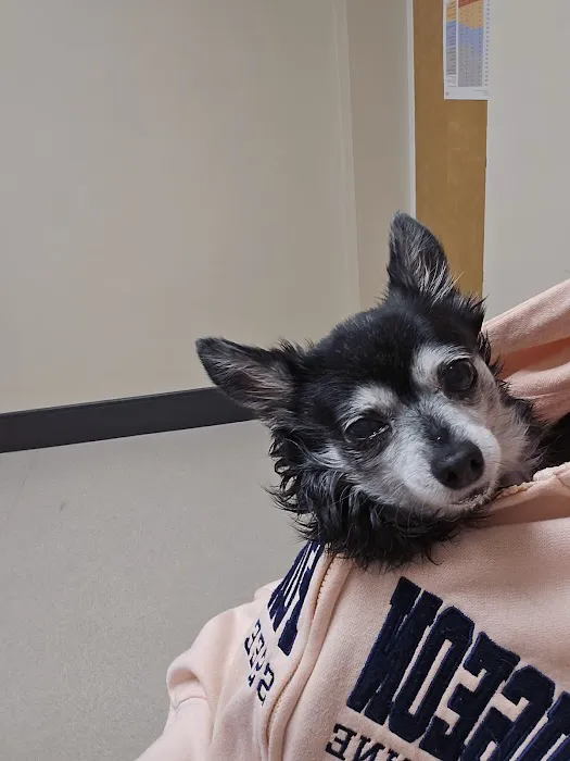 McArthur Animal Hospital Picture 2