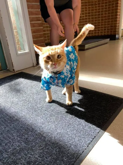 McArthur Animal Hospital Picture 9