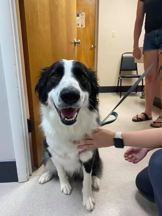 McArthur Animal Hospital Picture 10