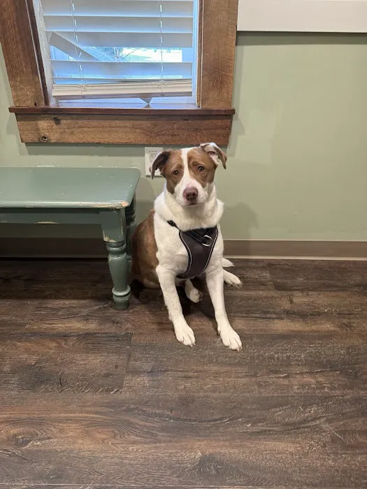 Hardin Valley Animal Hospital Picture 3