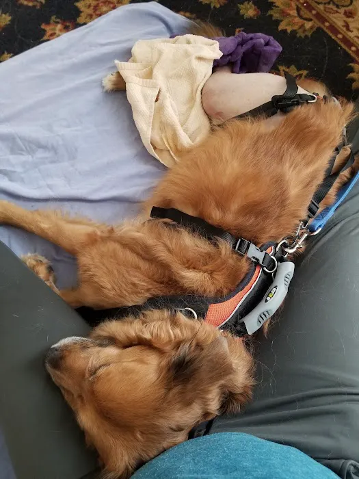 Blackford Vet Surgery Referral Picture 4
