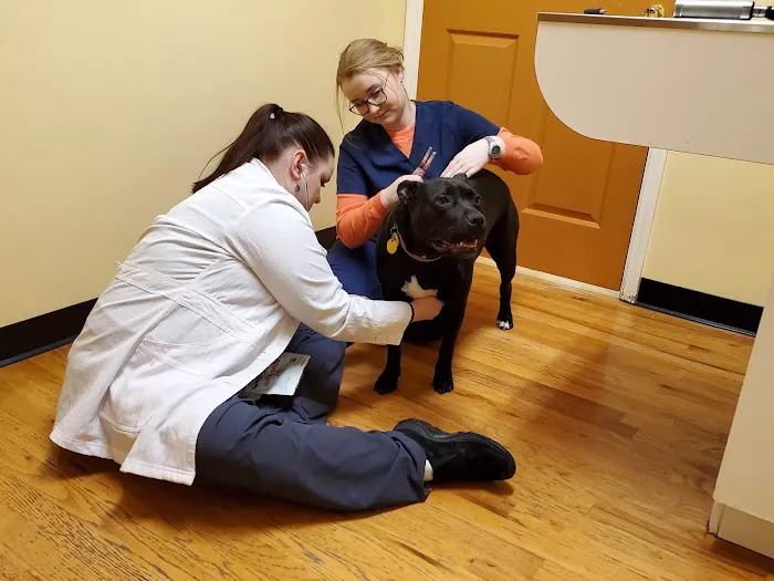 Middlebrook Animal Clinic Picture 3