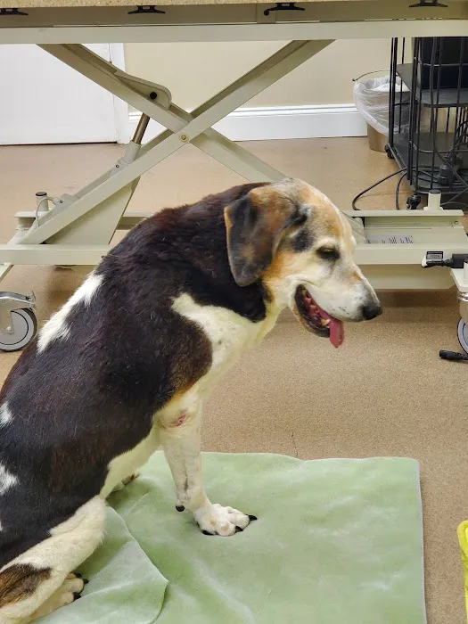 Cedar Bluff Animal Clinic Picture 5