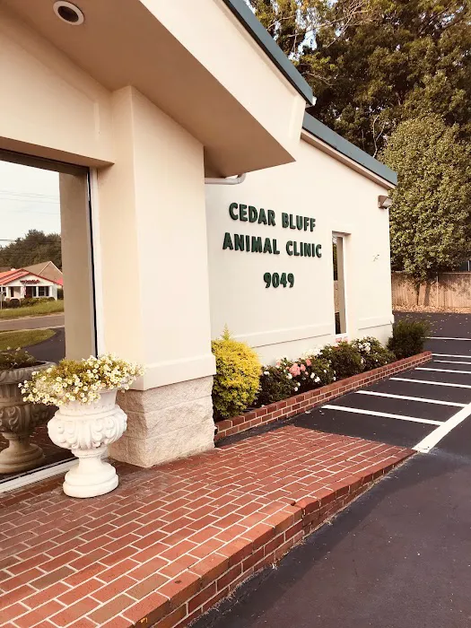 Cedar Bluff Animal Clinic Picture 8
