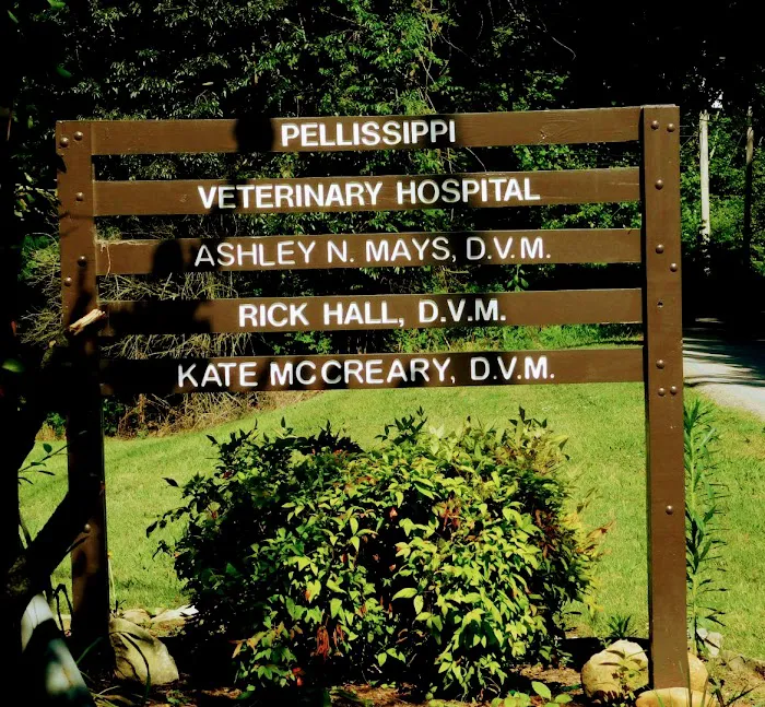 Pellissippi Veterinary Hospital Picture 3