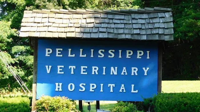 Pellissippi Veterinary Hospital Picture 5