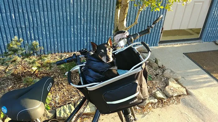 Pellissippi Veterinary Hospital Picture 6