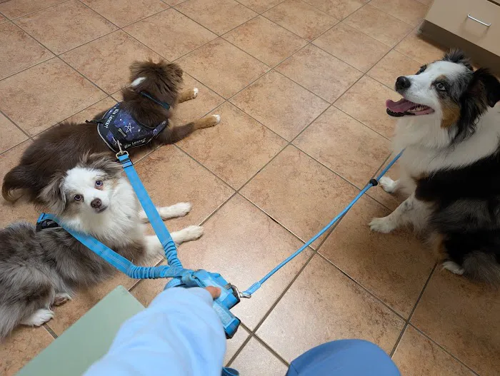Lovell Animal Hospital Picture 2