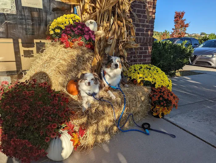 Lovell Animal Hospital Picture 5