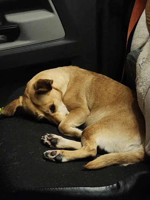 West Bearden Veterinary Hospital Picture 3