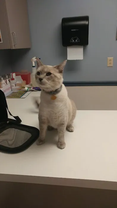 West Bearden Veterinary Hospital Picture 2