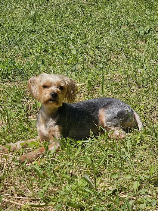 West Bearden Veterinary Hospital Picture 6