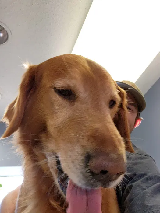 West Bearden Veterinary Hospital Picture 5