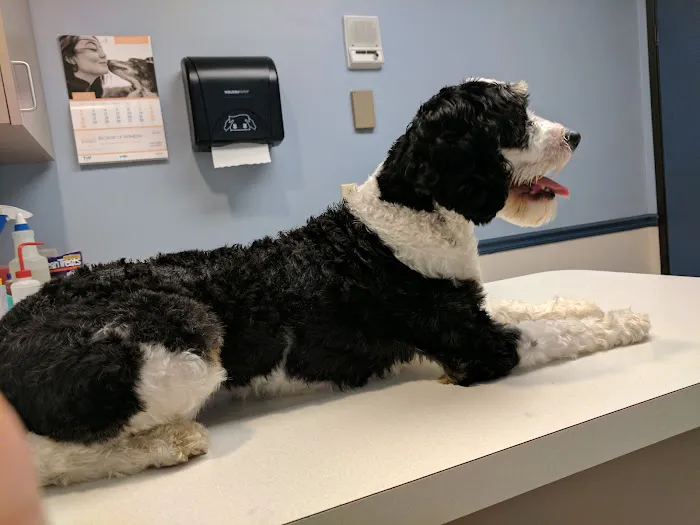West Bearden Veterinary Hospital Picture 8