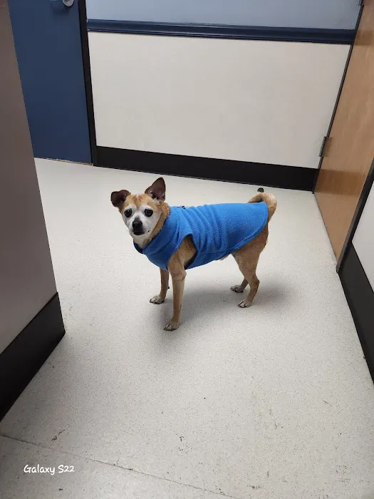 West Bearden Veterinary Hospital Picture 9