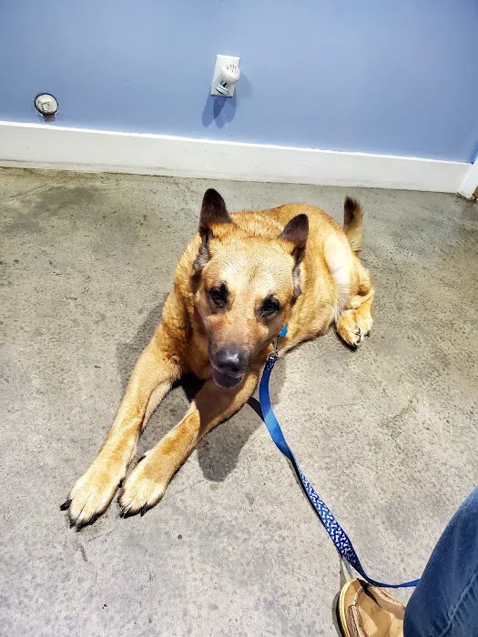 Morgan County Animal Hospital Picture 1