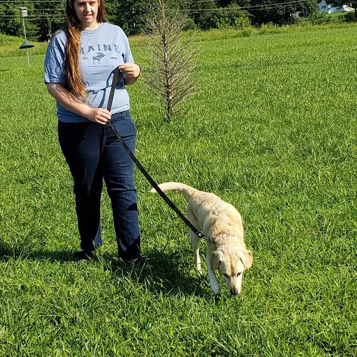 Morgan County Animal Hospital Picture 7