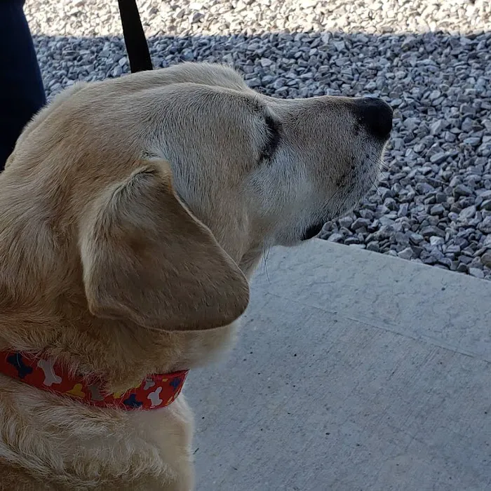 Morgan County Animal Hospital Picture 8