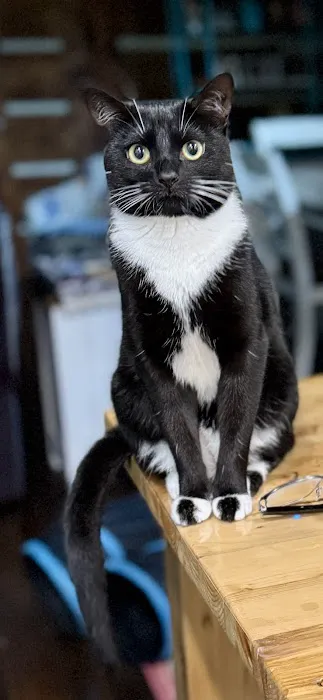 Planned Pet-Hood Picture 6