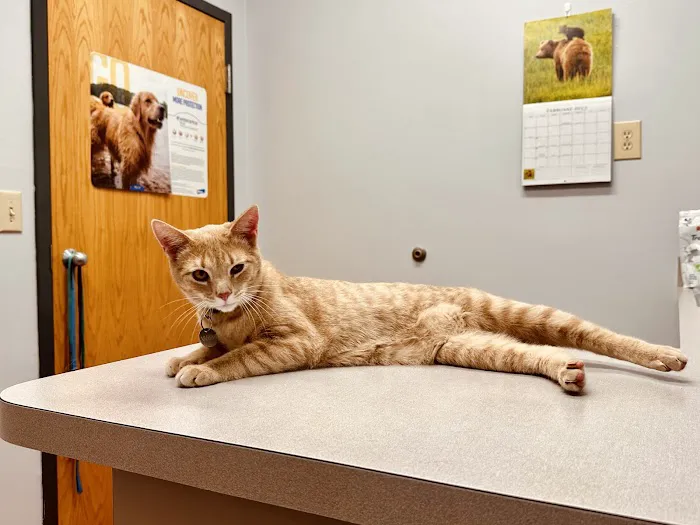 Animal Medical Center of Roane County Picture 6