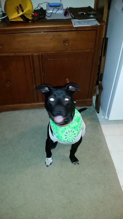 Animal Medical Center of Roane County Picture 8