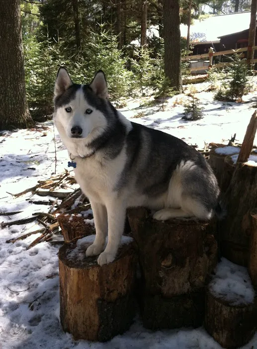 Roane Veterinary Hospital Picture 7